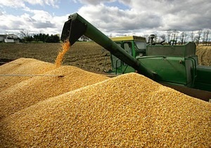 Ъ: Украина ограничит экспорт кукурузы