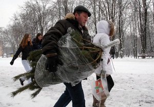 Новогоднюю елку в Киеве можно будет купить за 40 грн