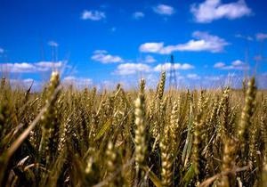 Ъ: Украина может нарастить экспорт зерна