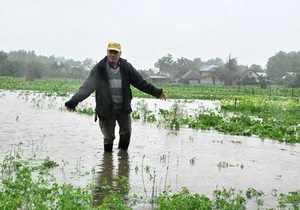 На Буковине мужчина во время ливня три часа просидел на дереве