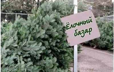 Днепропетровский облсовет ограничивает продажу елок