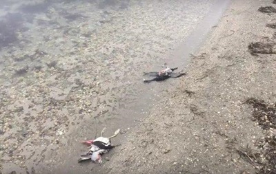Масову загибель птахів виявили в Криму