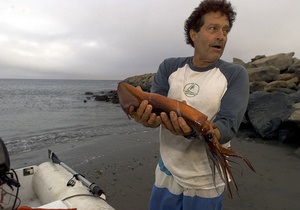 Биологи расследуют массовое самоубийство кальмаров на Калифорнийском побережье