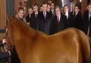 Коморовский подарил Януковичу гуцульских лошадей