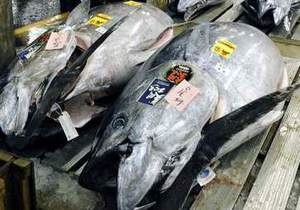 В Токио гигантский тунец продан за рекордные $170 тыс.