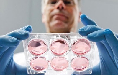 В Нидерландах врач подменял сперму, став отцом 49 детей