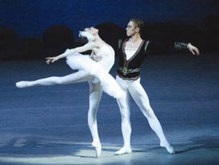 «Звезды мирового балета» вновь зажигаются в Донецке
