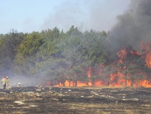 Киевской области угрожают пожары