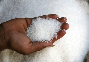 Азаров призвал аграриев держать цену на сахар