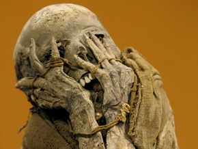 В России нашли мумию в багажнике угнанного 12 лет назад автомобиля