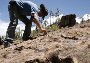 Корреспондент: Бесценные ископаемые. Как был найден самый большой клад в истории человечества