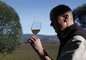 Кампания - неоткрытая звезда итальянского виноделия