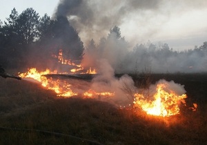 За выходные в Запорожской области выгорело более 60 га территорий