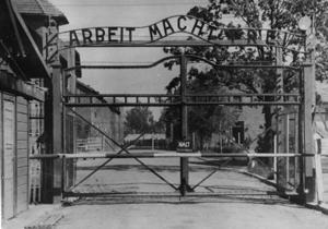 Освенцим - новости Германии: Следователи вышли на след 50 бывших надзирателей Освенцима