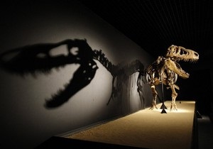 Кишечные газы динозавров могли изменить климат