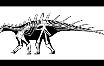 В Африці знайшли скелет нового виду динозаврів