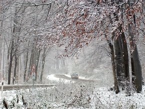 В Киеве пошел первый снег