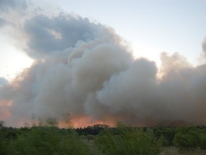 В Днепропетровской области вспыхнул лесной пожар