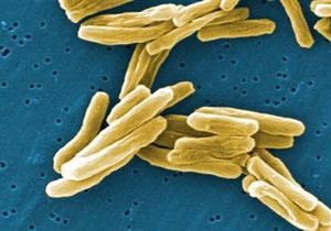 Ученые: Бактерии объединяются для борьбы с другими микробами