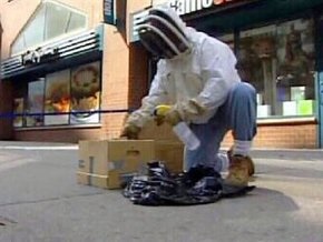 Тысячи пчел напали на магазин компьютерных игр в Нью-Йорке