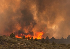 Природные пожары в Аризоне: погибли 19 спасателей