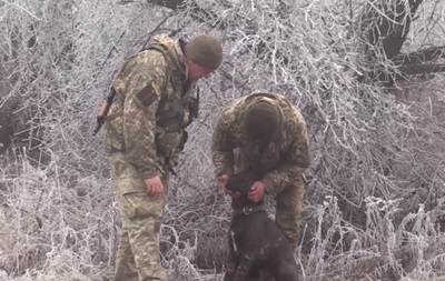 На Донбасі військові лікарі врятували пораненого фронтового собаку. 18+