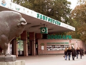 Киевский зоопарк будут сдавать в аренду для корпоративных праздников