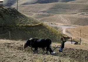 Таджикистан и Кыргызстан расследуют второе за два месяца массовое убийство на границе