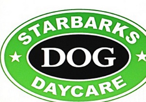 Starbucks просит собачий приют в США отказаться от похожего названия