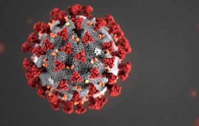 Вчені виділили 10 підтипів коронавірусу