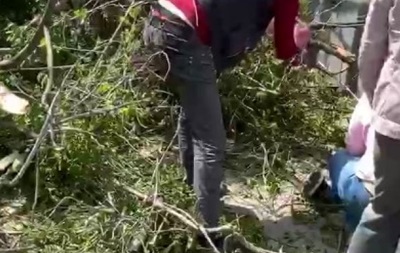 В Харькове на людей упало дерево