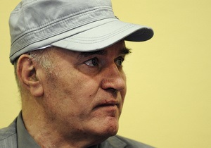 Младич попросил время на изучение обвинений