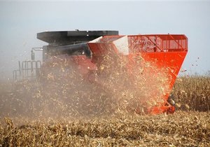 Минэкономики планирует продлить квотирование экспорта зерна до конца года