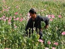 В 2007 году Афганистан продал опиума на миллиард долларов