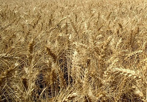 Евросоюз вслед за ВБ заявил о неоправданности продления Украиной квотирования экспорта зерна
