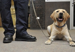 В Бразилии наркоторговцы угрожают полицейскому псу