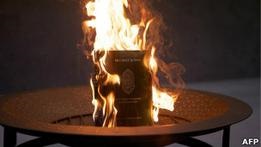 Командующий НАТО извинился за уничтожение Корана