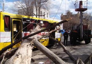 В Одессе на маршрутку с пассажирами упало дерево