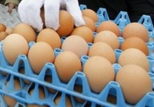 СМИ: В Луганской области пьяный регионал разбил о голову продавщицы лоток яиц