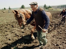 Аграрии Крыма начали посевную