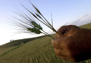 Рада ввела пошлины на экспорт зерновых