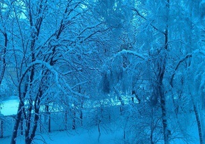 Погода в Украине: В Украину возвращаются снегопады и метели