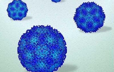 Ученые показали, как вирусы функционируют в человеческом организме