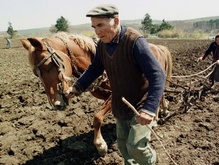Тимошенко намерена поддерживать аграриев по адресным схемам