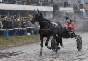 Киевский ипподром планируют отремонтировать в этом году