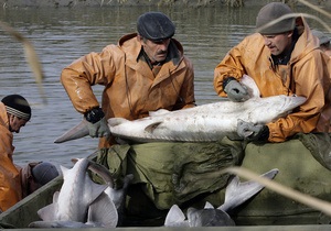 Казахстан предложил не ловить осетровых в Каспийском море пять лет