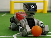 Чемпионат мира по футболу среди роботов пройдет в Южной Корее