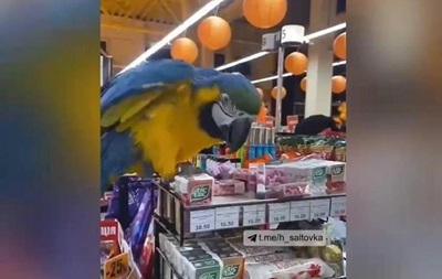 В супермаркете Харькова  хозяйничал  попугай