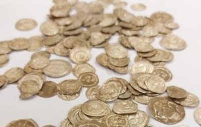 В Польше собака вырыла средневековые монеты