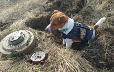 Ukrposhta has announced a stamp with a mine-clearing dog Patron - Perild